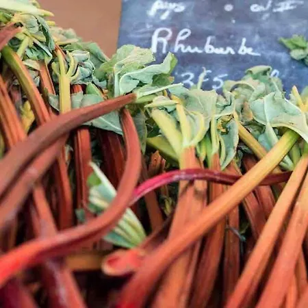 Ubytování v soukromí Les Hortensias Independante Avec Sdb Et Toilettes Privees Dans Maison En Foret Proche Du Golf Et De La Entree Independante Avec Acces Prive Le Touquet