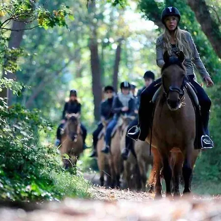 Les Hortensias Independante Avec Sdb Et Toilettes Privees Dans Maison En Foret Proche Du Golf Et De La Entree Independante Avec Acces Prive Ubytování v soukromí *