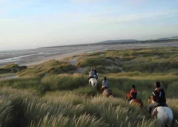 Les Hortensias Indépendante Avec Sdb Et Toilettes Privées Dans Maison En Forêt Proche Du Golf Et De La Entree Indépendante Avec Acces Privé Séjour chez l'habitant