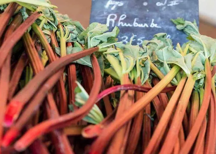 Séjour chez l'habitant Les Hortensias Indépendante Avec Sdb Et Toilettes Privées Dans Maison En Forêt Proche Du Golf Et De La Entree Indépendante Avec Acces Privé Le Touquet-Paris-Plage