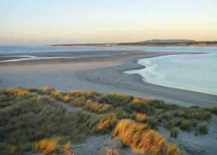 Séjour chez l'habitant Les Hortensias Indépendante Avec Sdb Et Toilettes Privées Dans Maison En Forêt Proche Du Golf Et De La Entree Indépendante Avec Acces Privé *