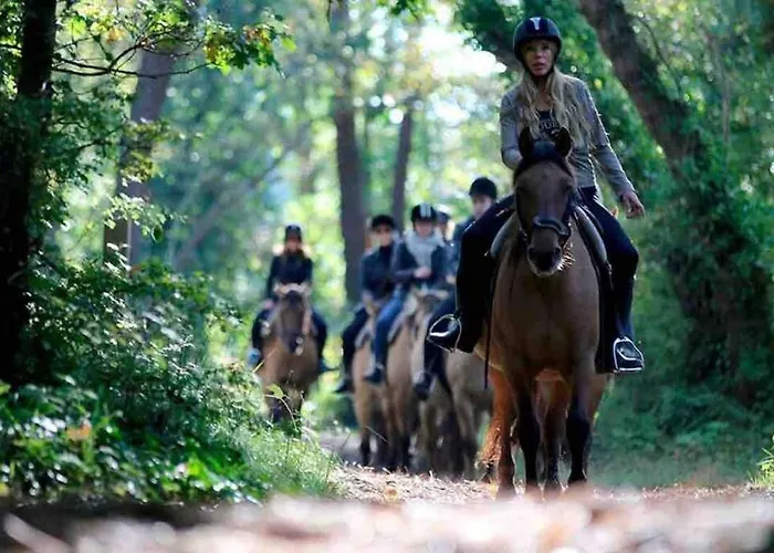 Les Hortensias Indépendante Avec Sdb Et Toilettes Privées Dans Maison En Forêt Proche Du Golf Et De La Entree Indépendante Avec Acces Privé Séjour chez l'habitant *