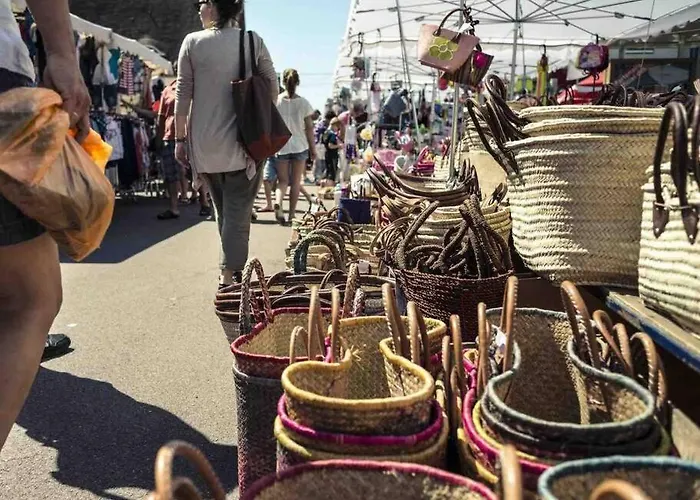 Les Hortensias Indépendante Avec Sdb Et Toilettes Privées Dans Maison En Forêt Proche Du Golf Et De La Entree Indépendante Avec Acces Privé Séjour chez l'habitant
